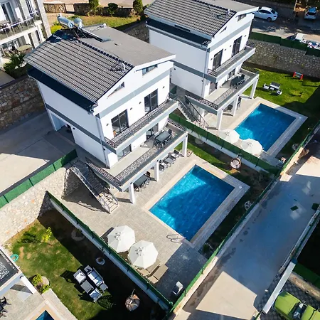 Daisy B Villa
